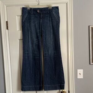 American Eagle Outfitters Indigo Wide Leg Jeans